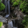 水車公園 日本庭園