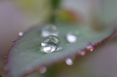 雨上がり