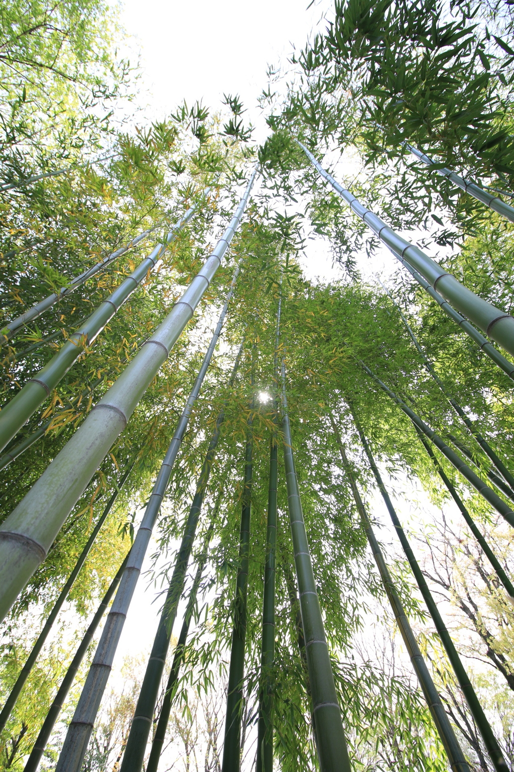 健やかに