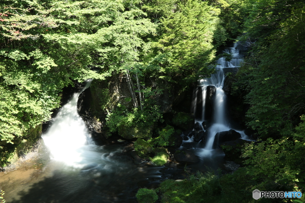  深緑の「龍頭の瀧」