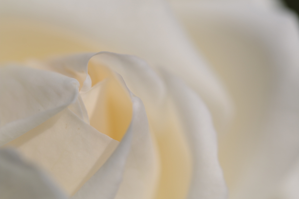 チャイコフスキーの世界へ