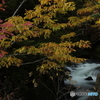 奥日光 竜頭の滝(瀧上)