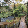 雨の湯滝 散策道