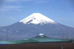 遠近富士山