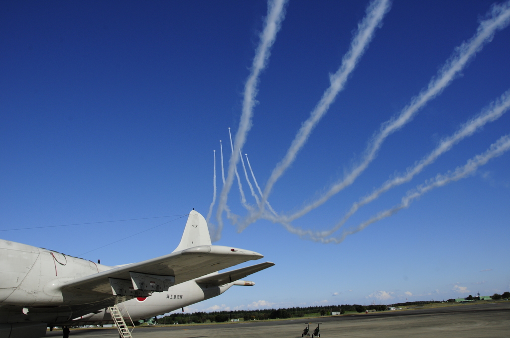 青空へ向かって・・・