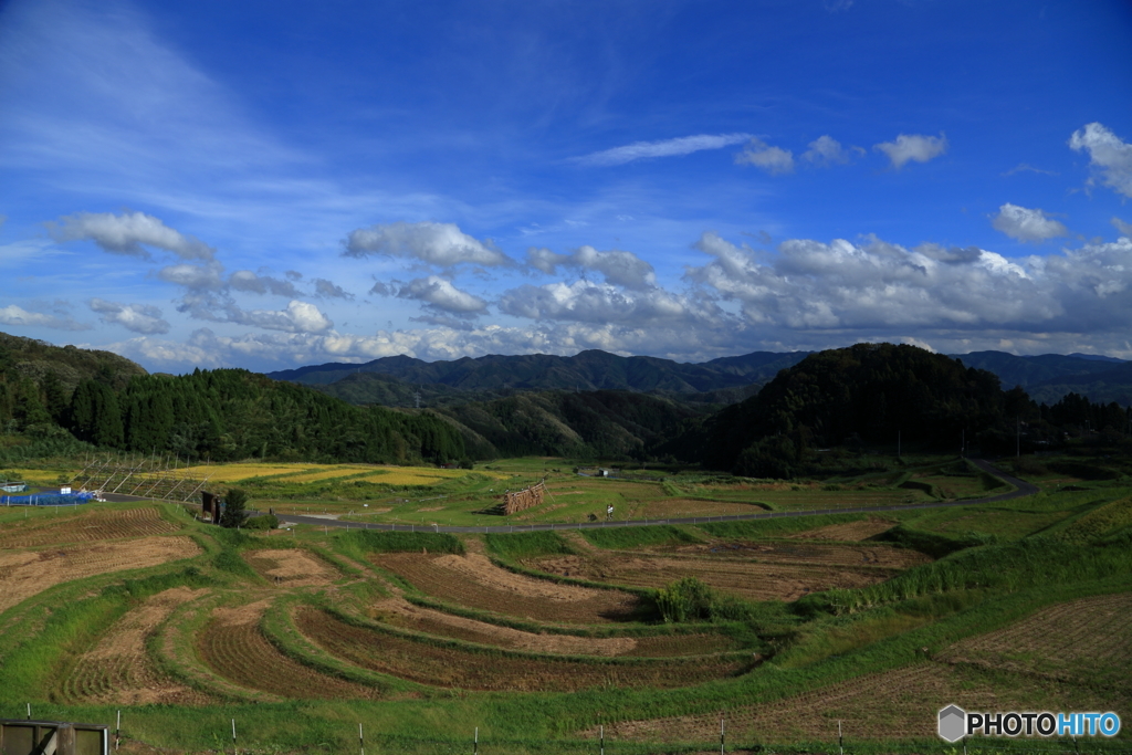 棚田を眺めて