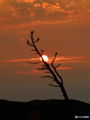 夕陽とともに