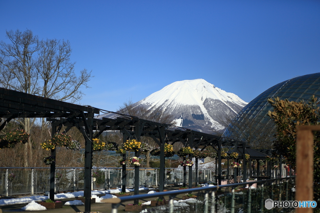 雪の伯耆富士