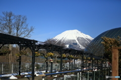 雪の伯耆富士