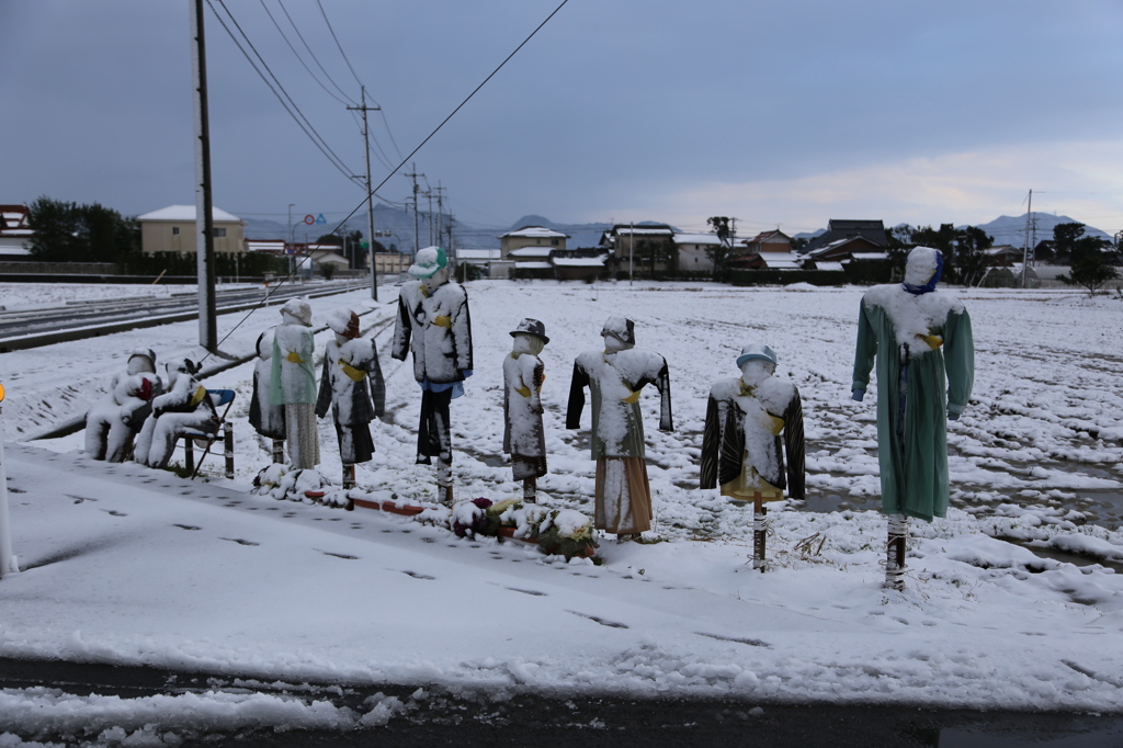 出雲平野のかかし