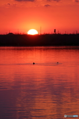 夕陽の色