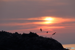 経島の夕暮れ