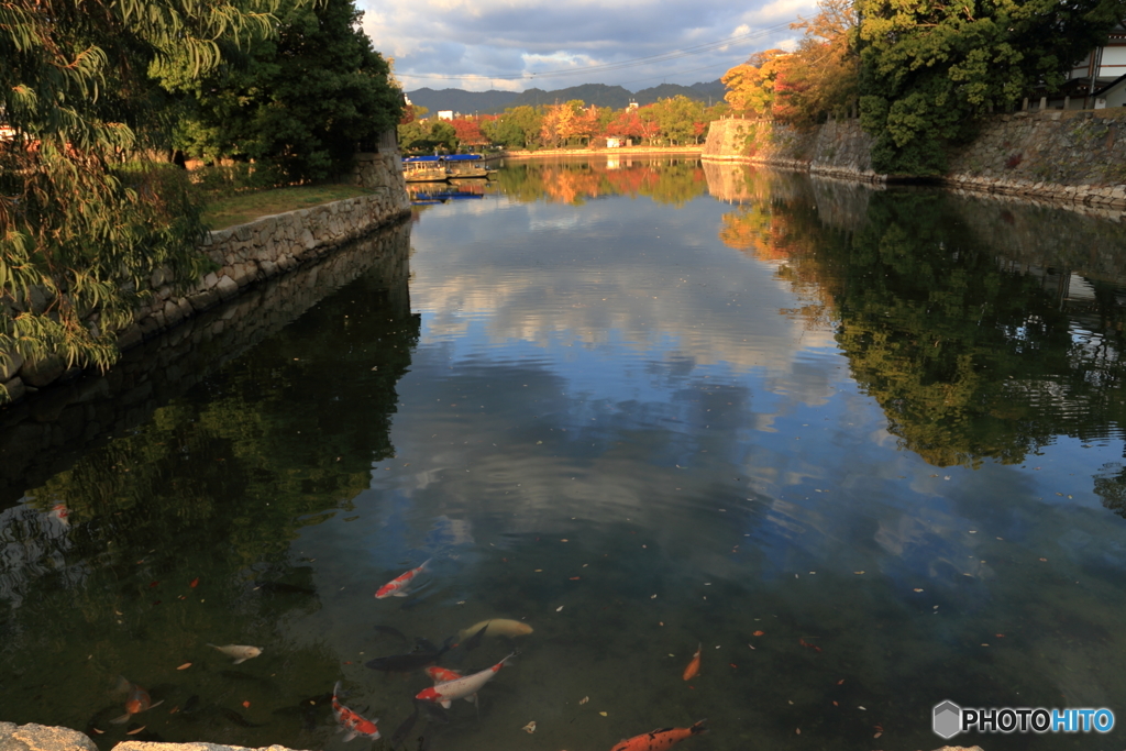 街の紅葉－Ⅱ