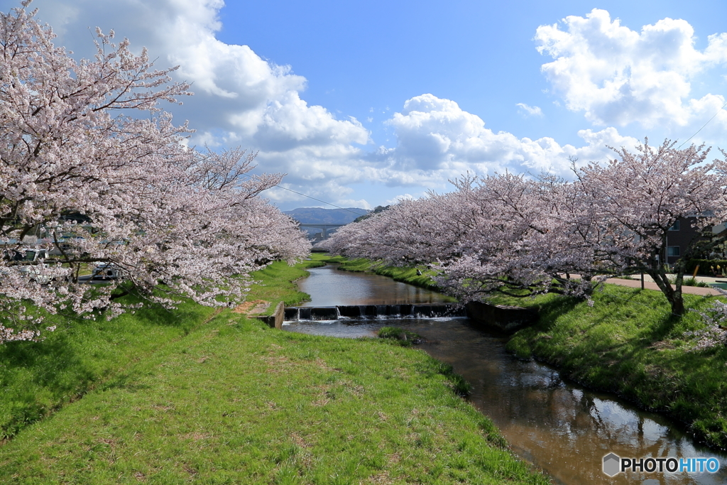 春の小川