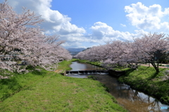春の小川