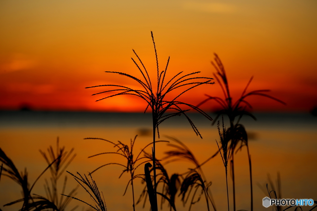 秋の夕暮れ