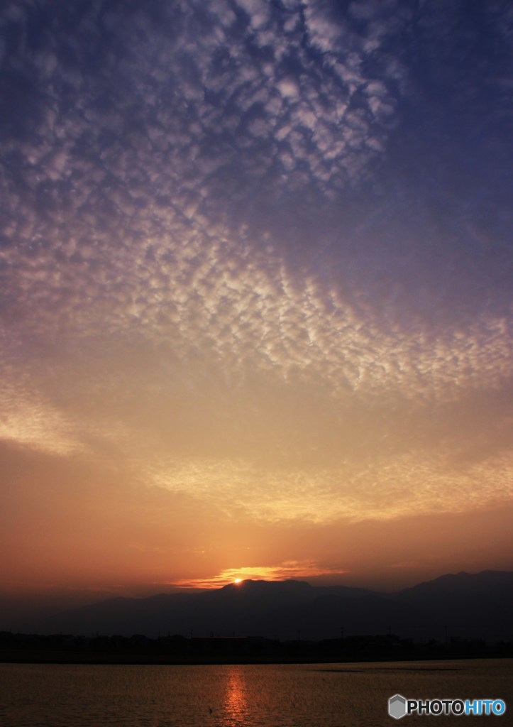 水田と夕陽とうろこ雲