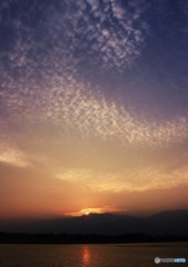 水田と夕陽とうろこ雲