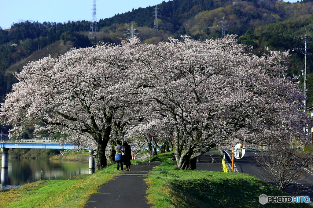 二人でお花見