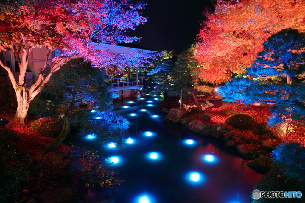 紅葉の夜