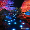 紅葉の夜