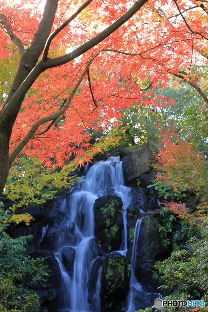 秋穏やかに