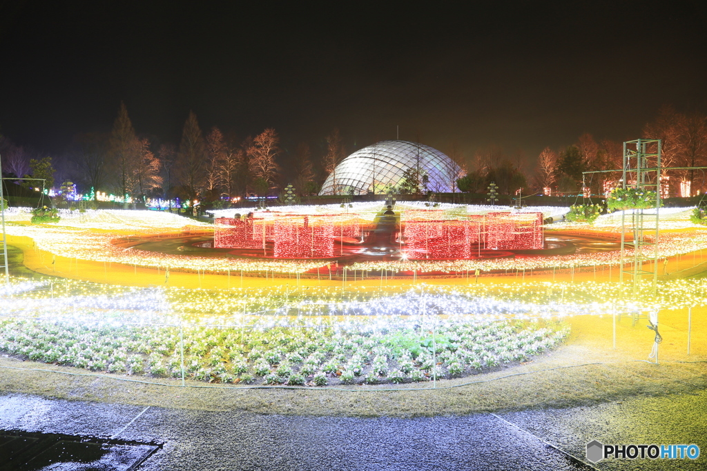 光の庭園