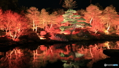 紅葉夜景