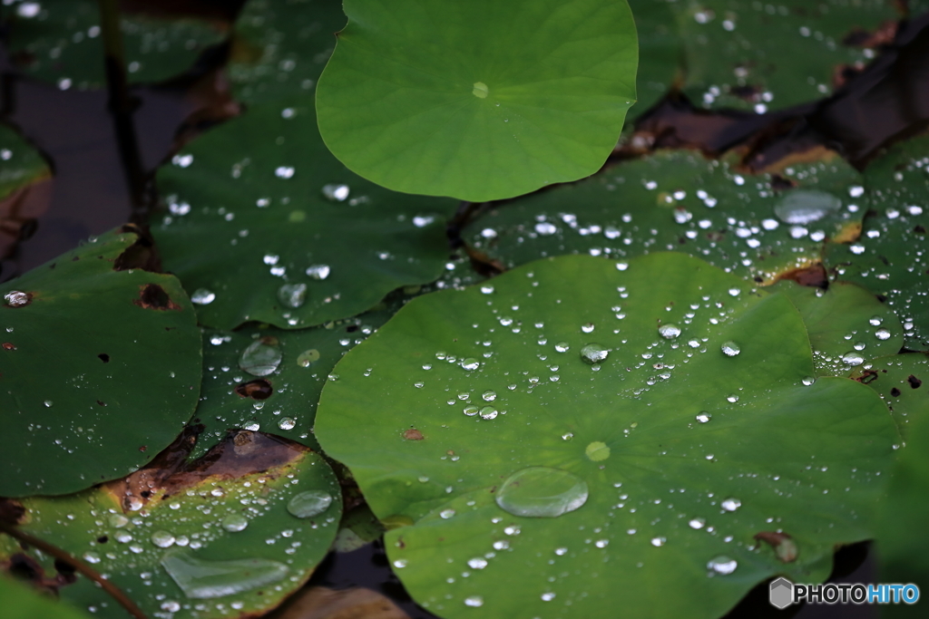 雨模様