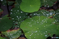 雨模様