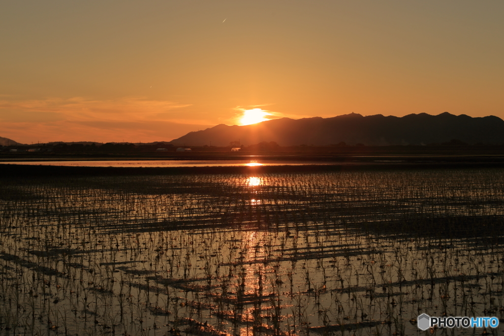 平野の夕暮れ