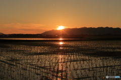 平野の夕暮れ