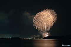 米子がいな祭り－２