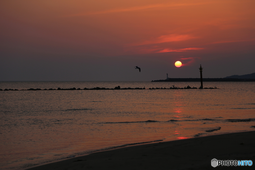 海猫飛ぶ夕暮れ