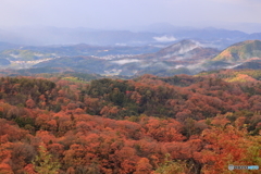 雨上がり
