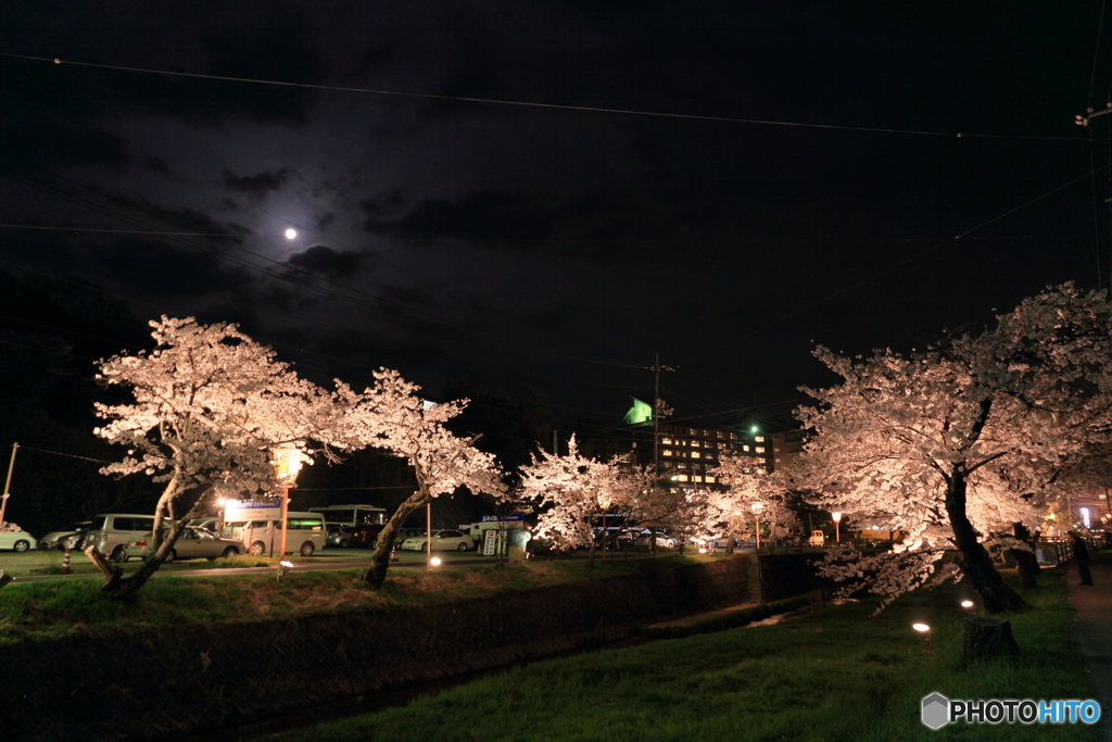 春の夜