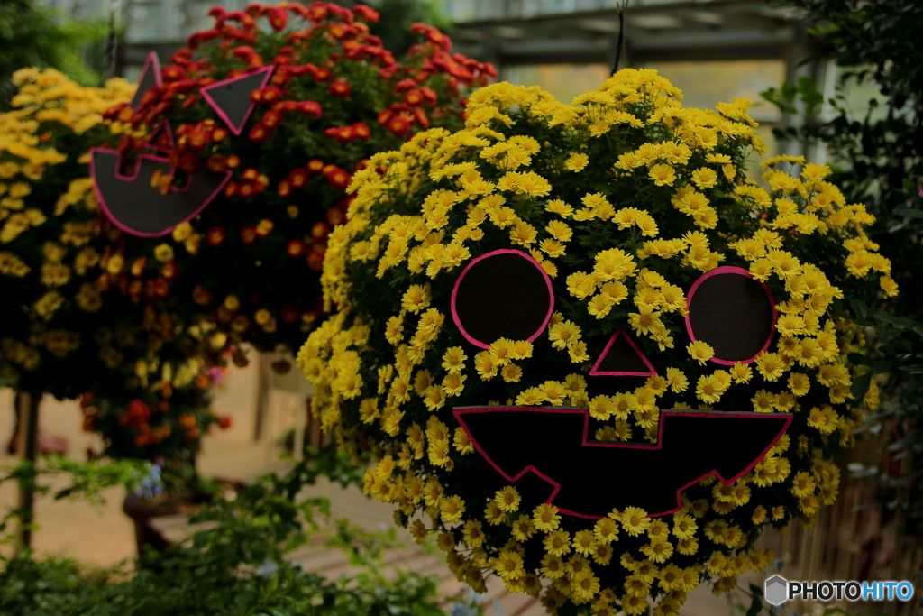 ハロウィーンver