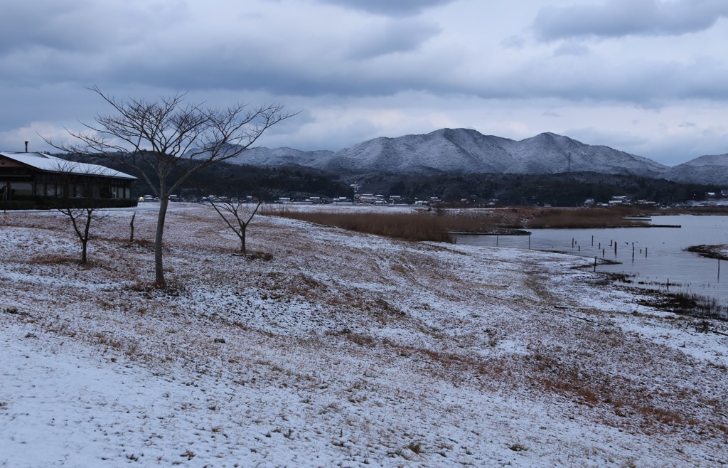 雪景色の宍道湖グリーンパーク