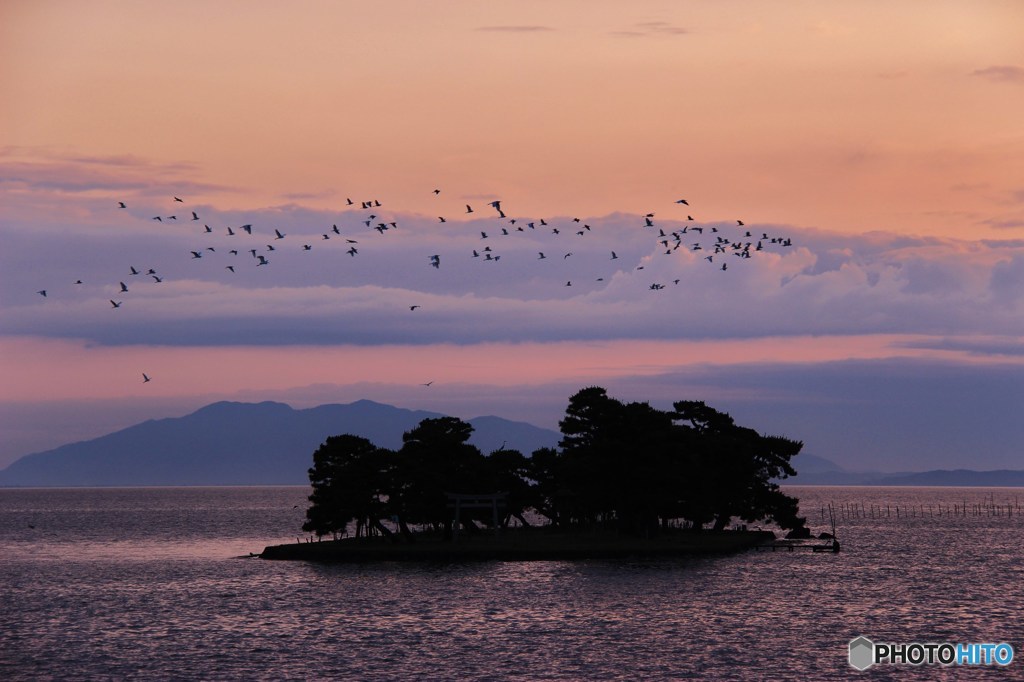 鳥飛ぶ夕暮れ