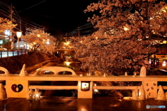 夜桜