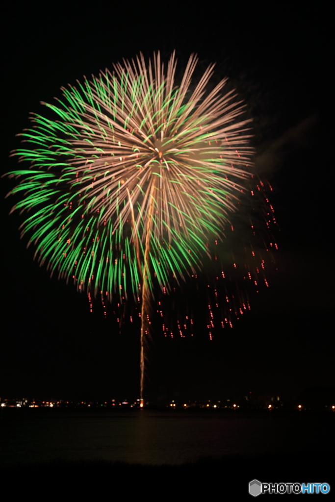 夜空の大輪