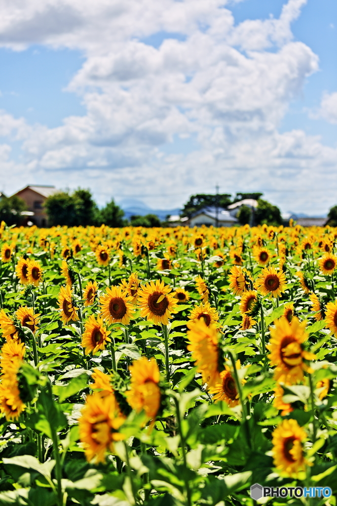9月の空-Ⅱ