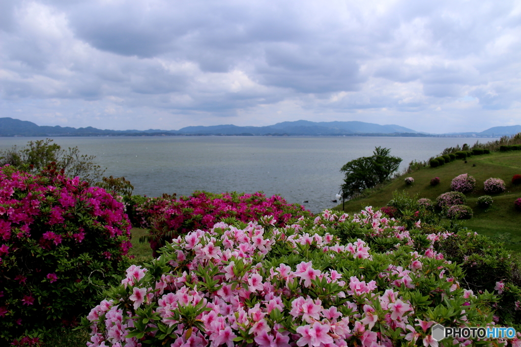 湖畔の花咲く公園