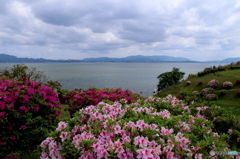 湖畔の花咲く公園