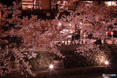 夜桜を眺めて・・。