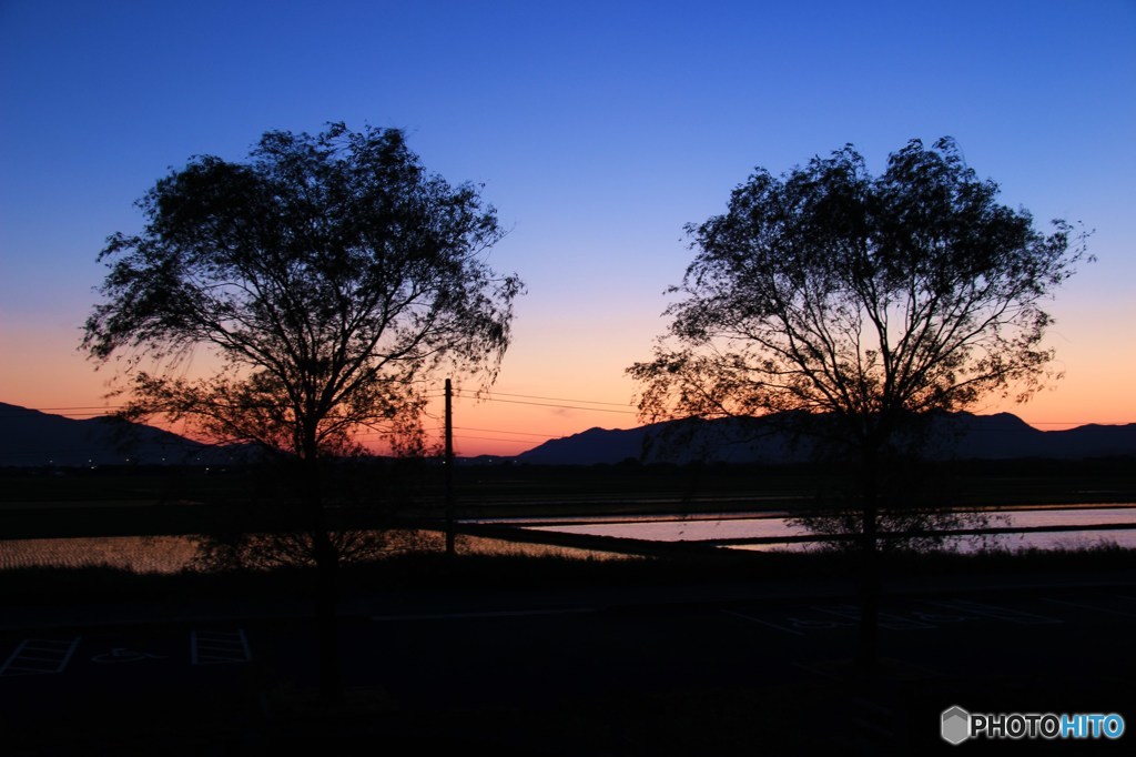 樹達の夕暮れ