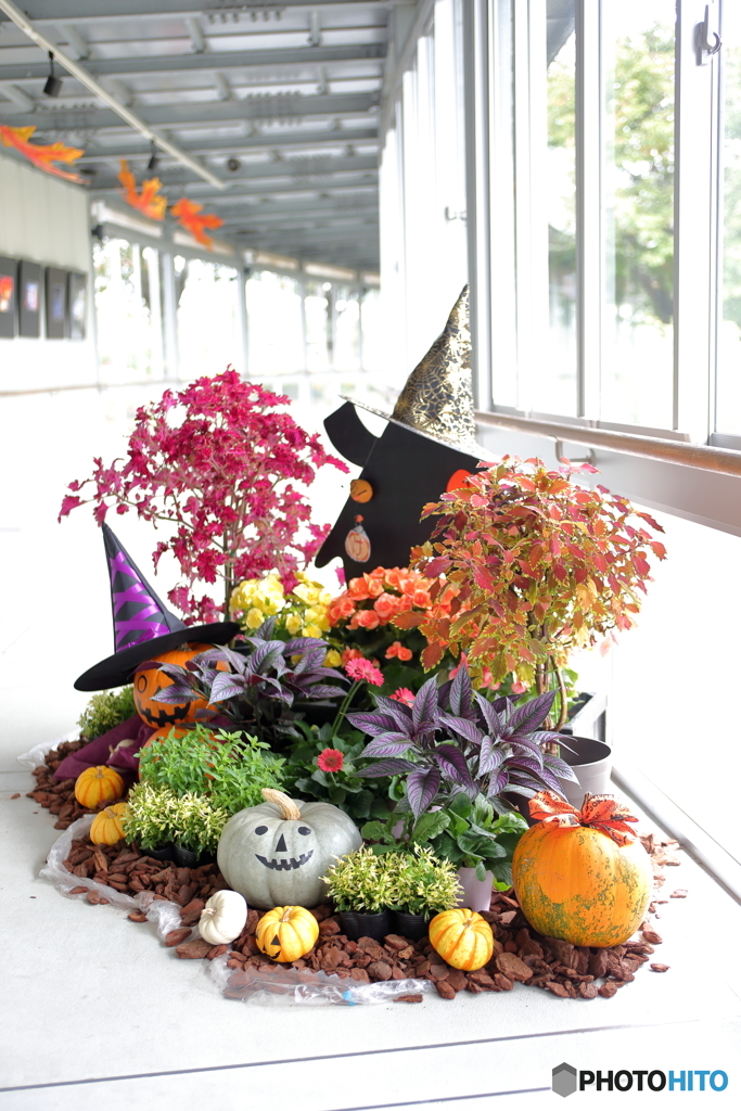 Hallween
