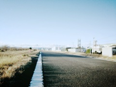 散歩道