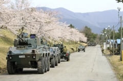 桜と戦車