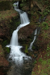 箱島の湧水